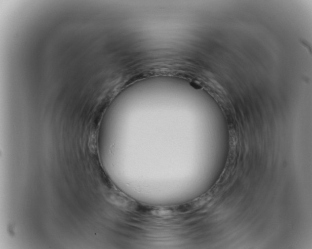 X0000096200419200801181035