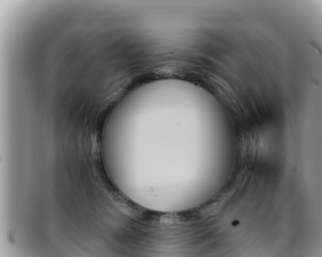X0000096200420200801181035