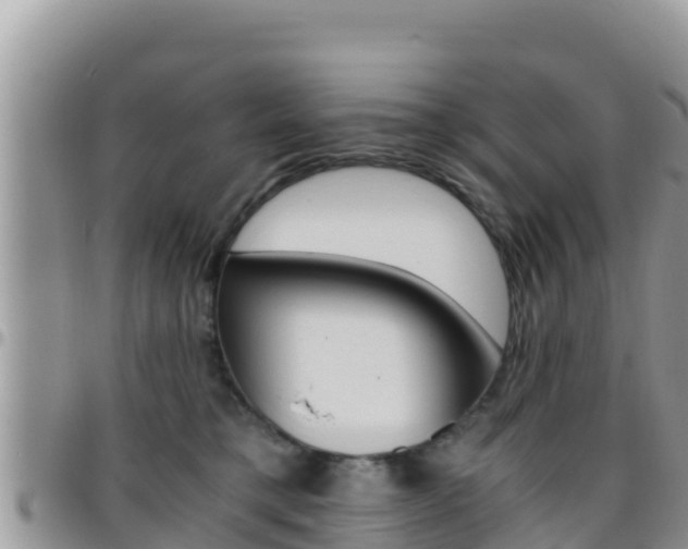 X0000096200421200801181035
