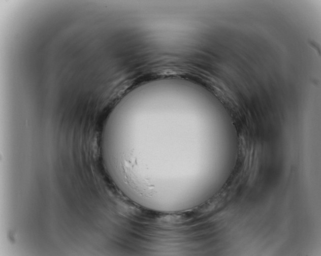 X0000096200422200801181035
