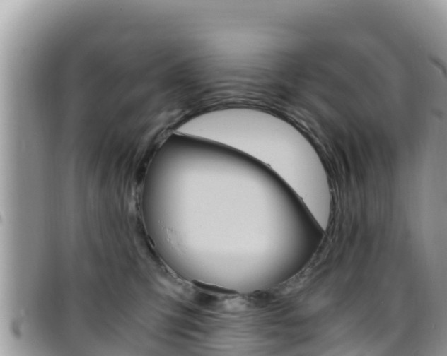 X0000096200423200801181035