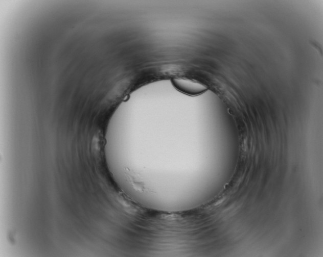 X0000096200424200801181035