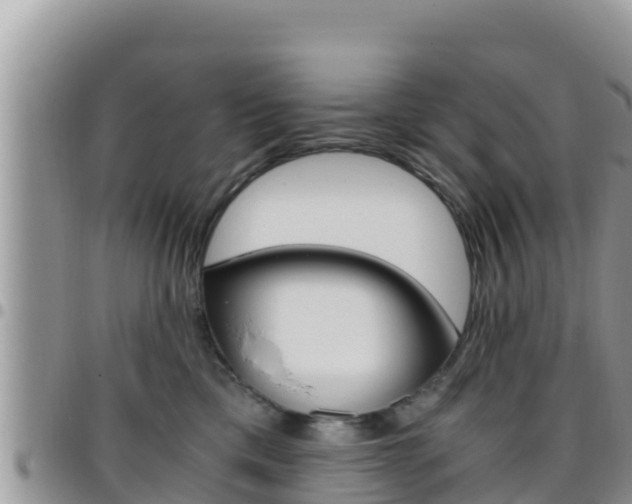 X0000096200425200801181035