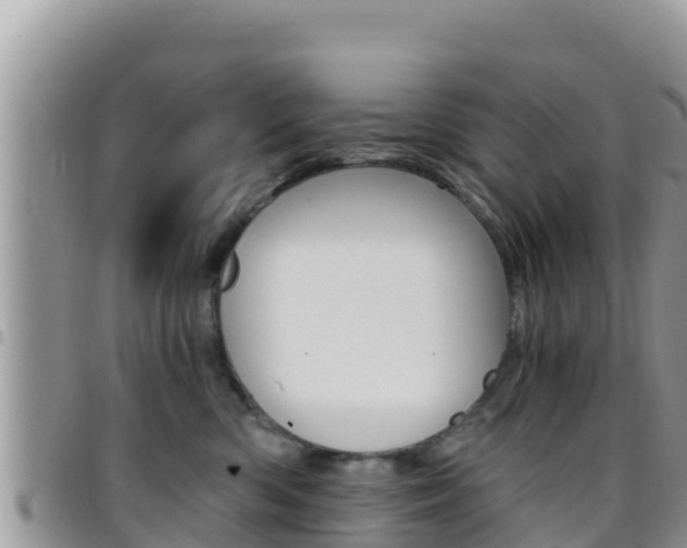 X0000096200426200801181035