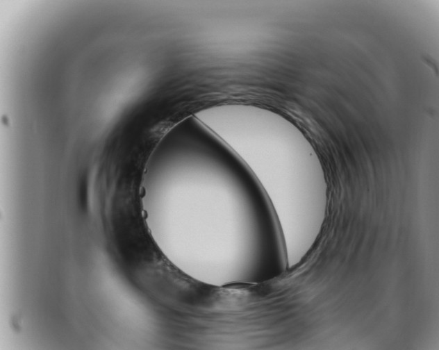 X0000096200429200801181035