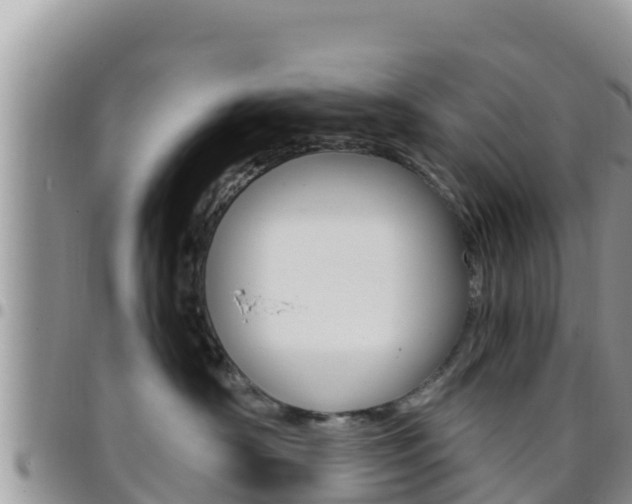 X0000096200430200801181035