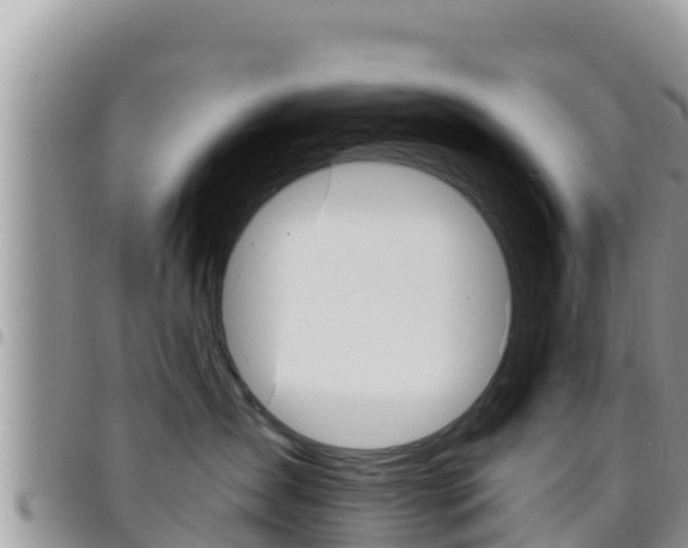 X0000096200431200801181035