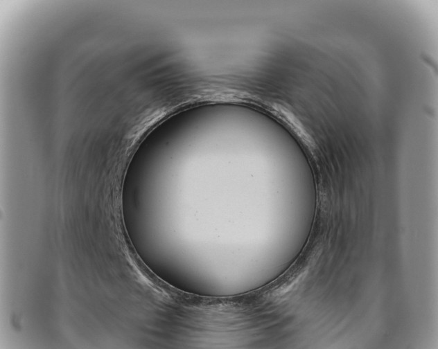 X0000096200433200801181034
