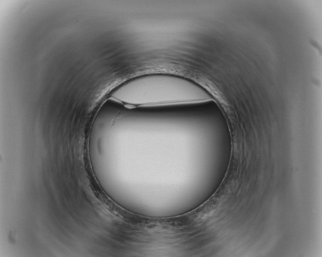 X0000096200434200801181034