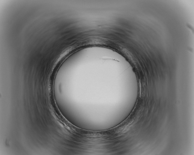 X0000096200435200801181034