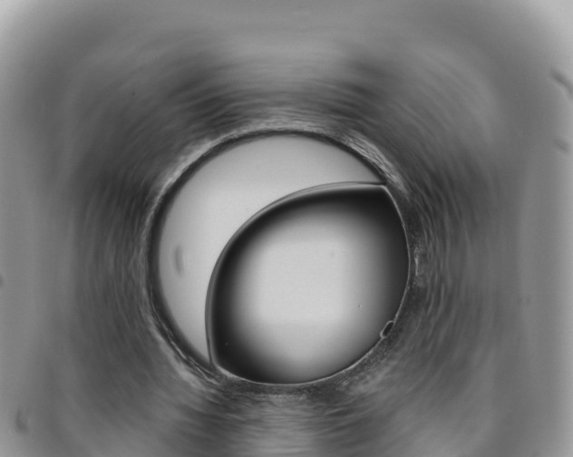 X0000096200436200801181034
