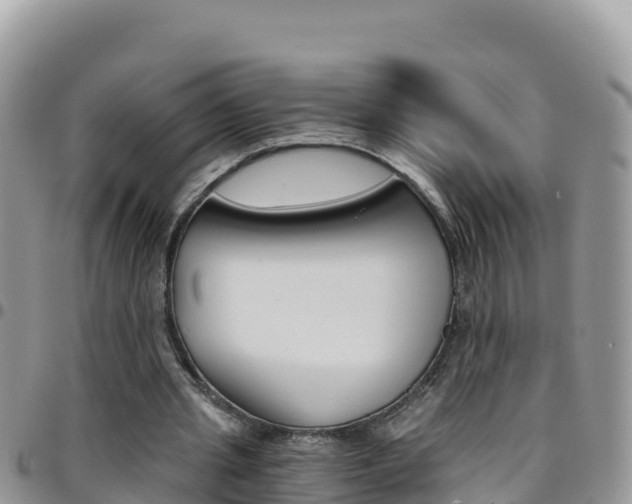 X0000096200437200801181034