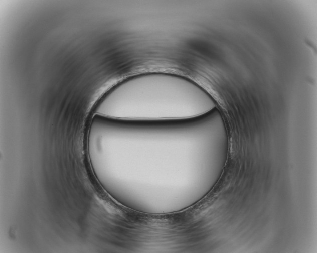 X0000096200438200801181034