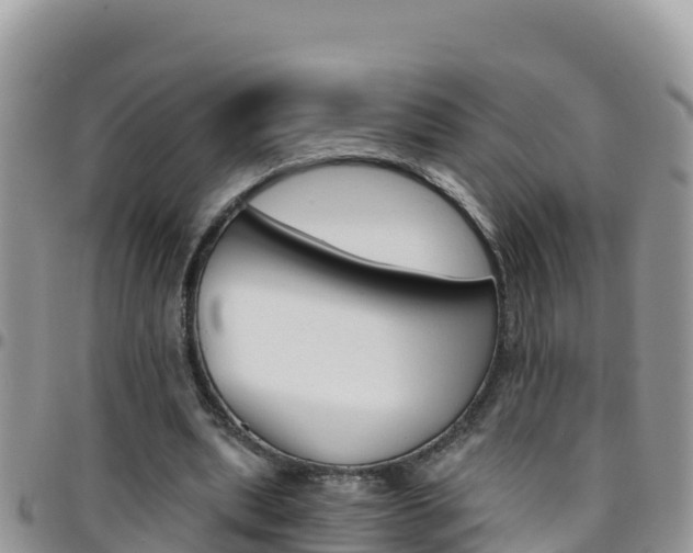 X0000096200439200801181035