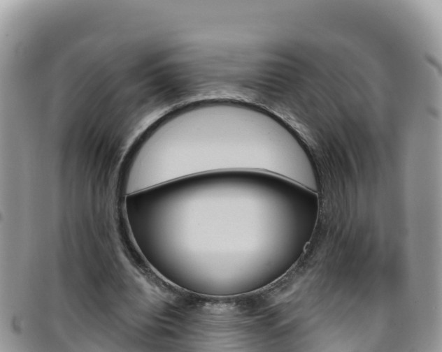 X0000096200440200801181035