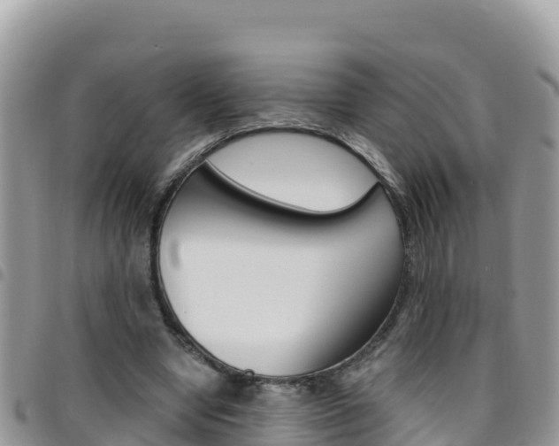 X0000096200442200801181035
