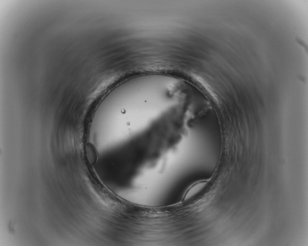 X0000096200443200801181035