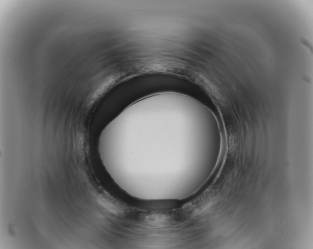 X0000096200444200801181035