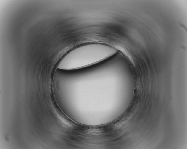 X0000096200445200801181035