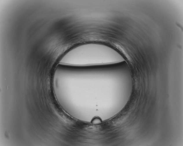 X0000096200447200801181035