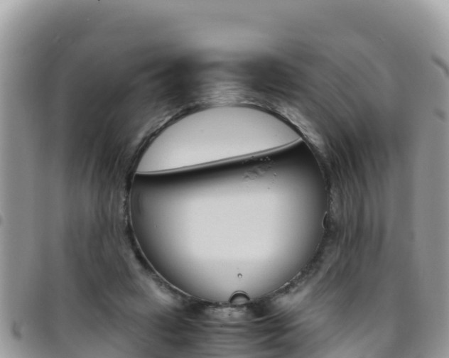 X0000096200449200801181035