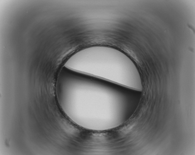 X0000096200450200801181035