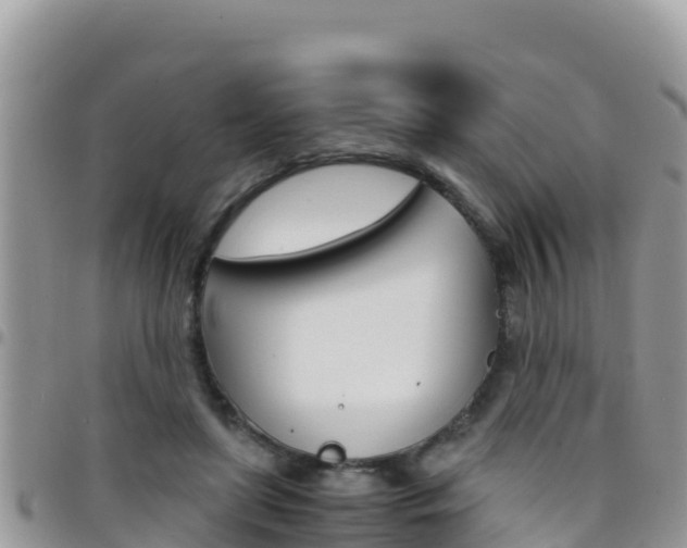 X0000096200451200801181035
