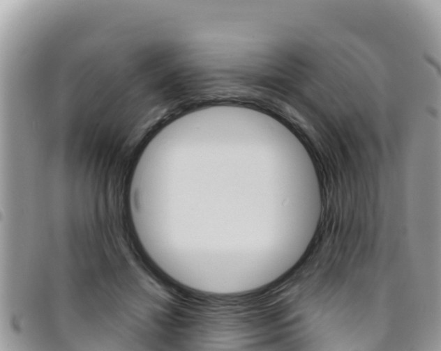 X0000096200452200801181035