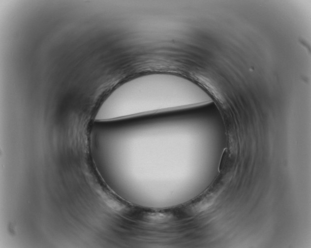 X0000096200453200801181035