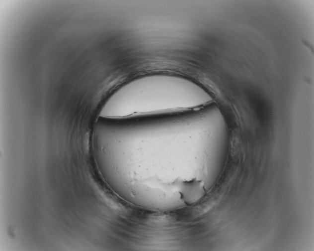 X0000096200454200801181035