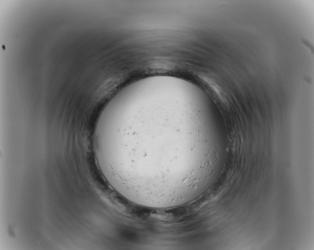 X0000096200455200801181035
