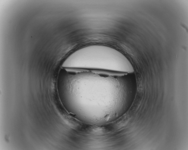 X0000096200456200801181035