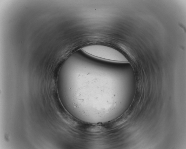 X0000096200459200801181035