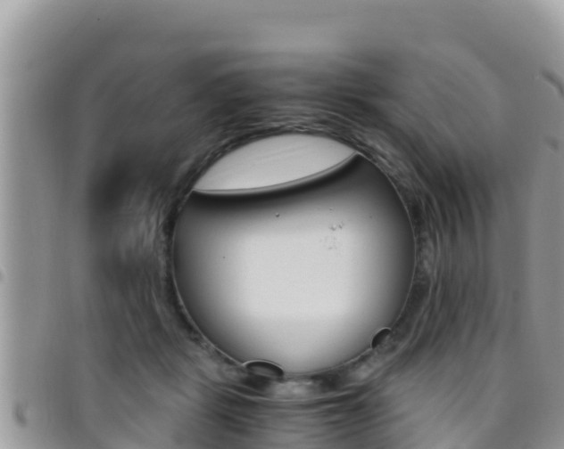 X0000096200461200801181035