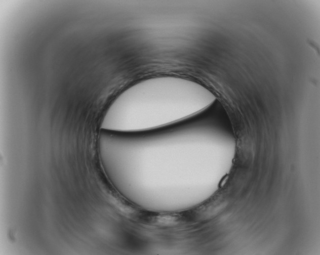 X0000096200462200801181035