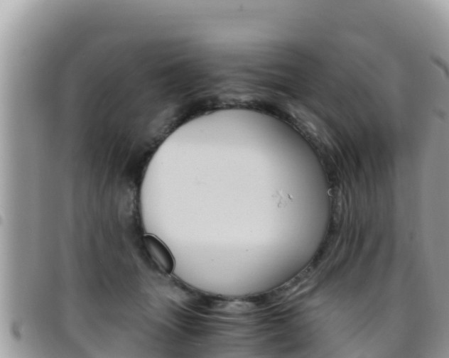 X0000096200463200801181035