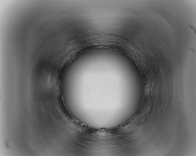 X0000096200464200801181035