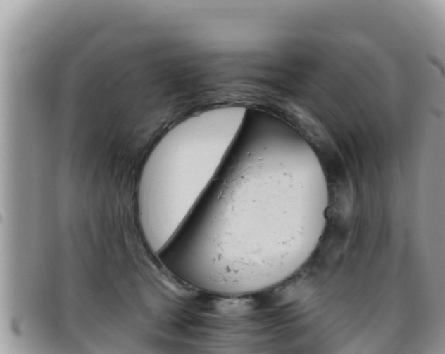 X0000096200465200801181035