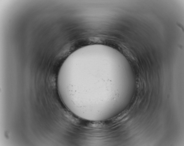 X0000096200466200801181035