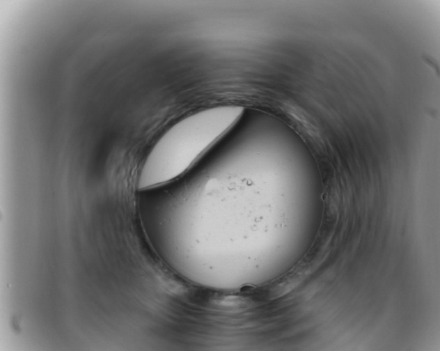 X0000096200467200801181035
