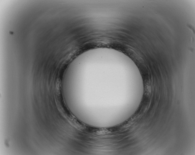 X0000096200468200801181035