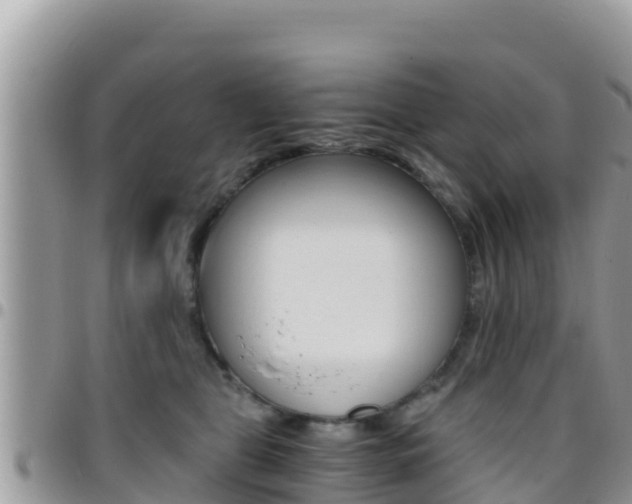 X0000096200469200801181035