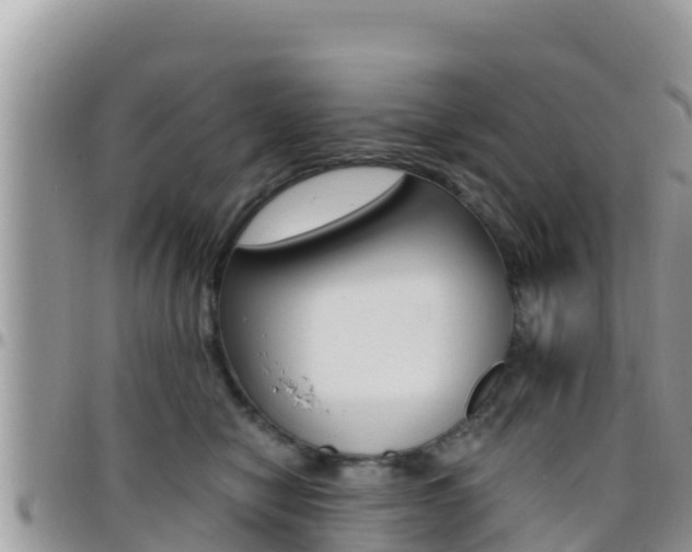 X0000096200470200801181035