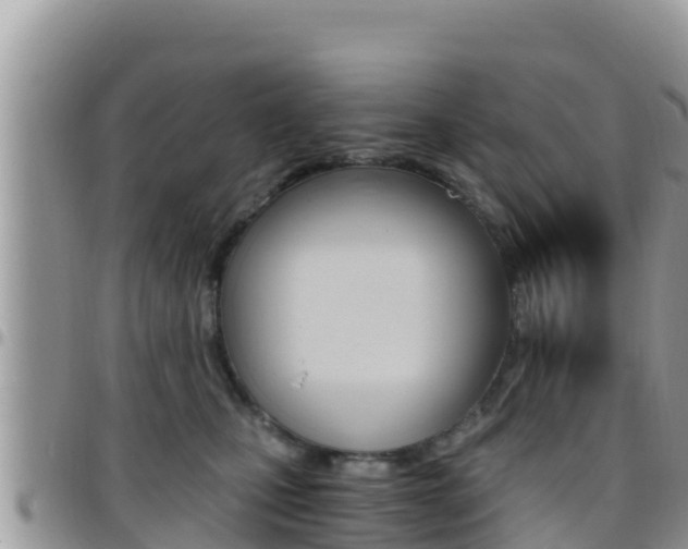 X0000096200471200801181035