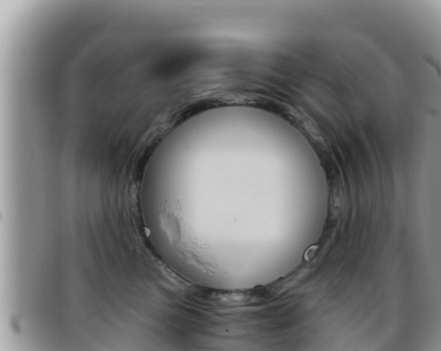 X0000096200473200801181035