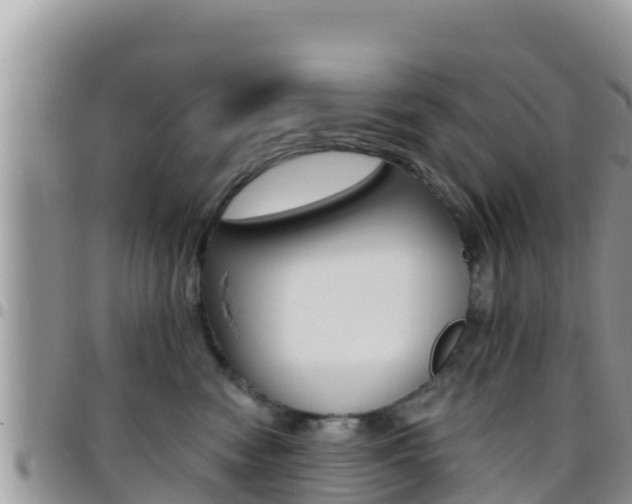 X0000096200474200801181035