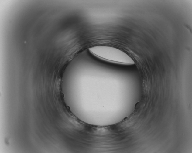 X0000096200475200801181035