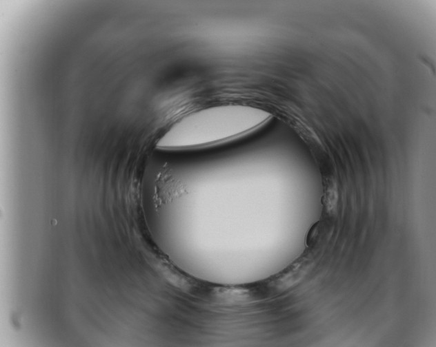 X0000096200476200801181035