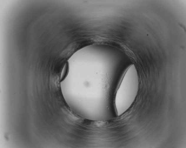 X0000096200479200801181035