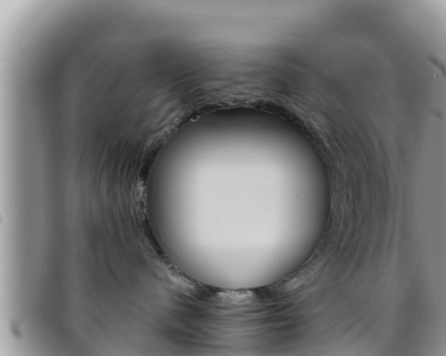 X0000096200480200801181035